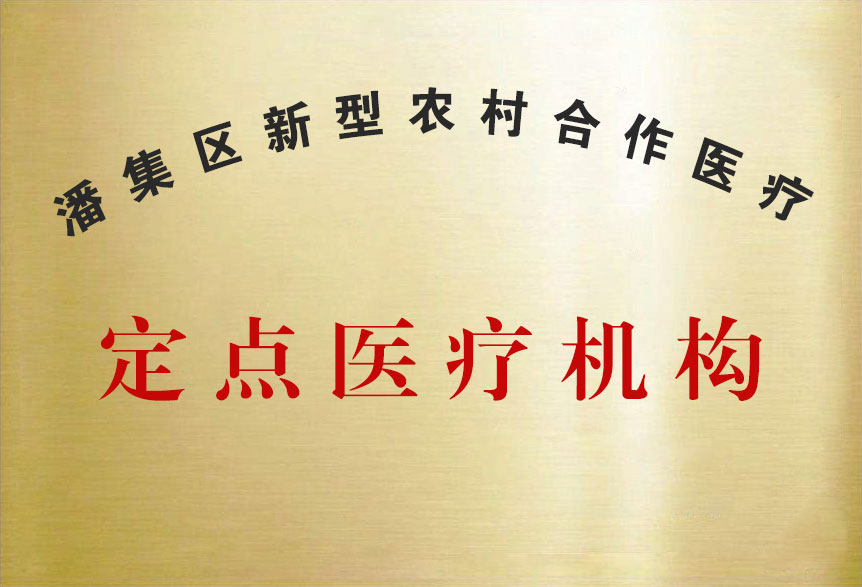 潘集新農合定點醫療機構
