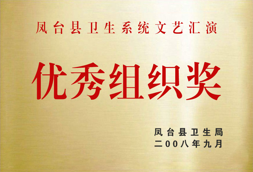 2008年鳳臺縣衛生系統文藝匯演優秀組織獎