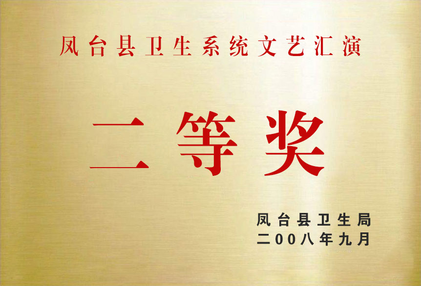 2008鳳臺縣衛生系統文藝匯演二等獎