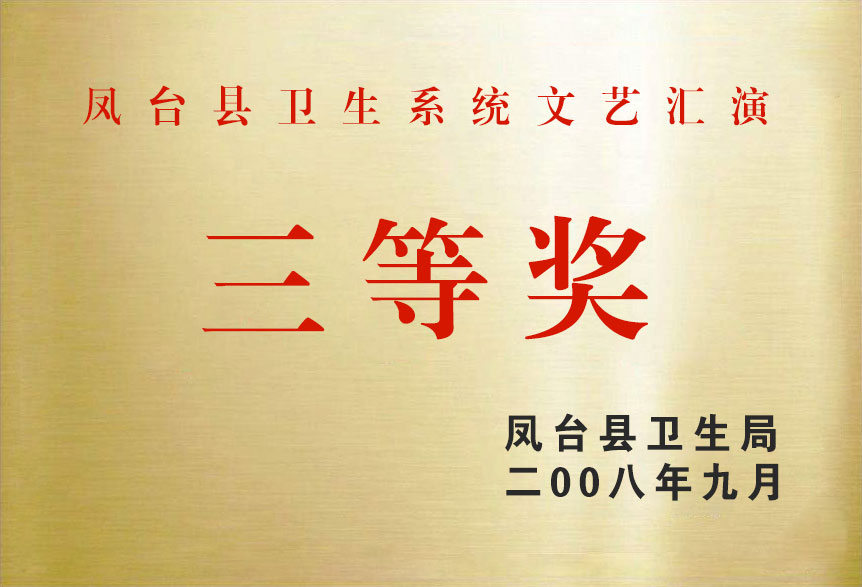 2008鳳臺縣衛生系統文藝匯演