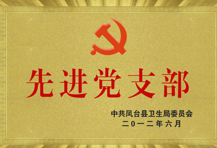 2012先進黨支部