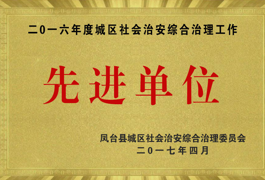 二0一六年度城區社會治安綜合治理工作先進單位