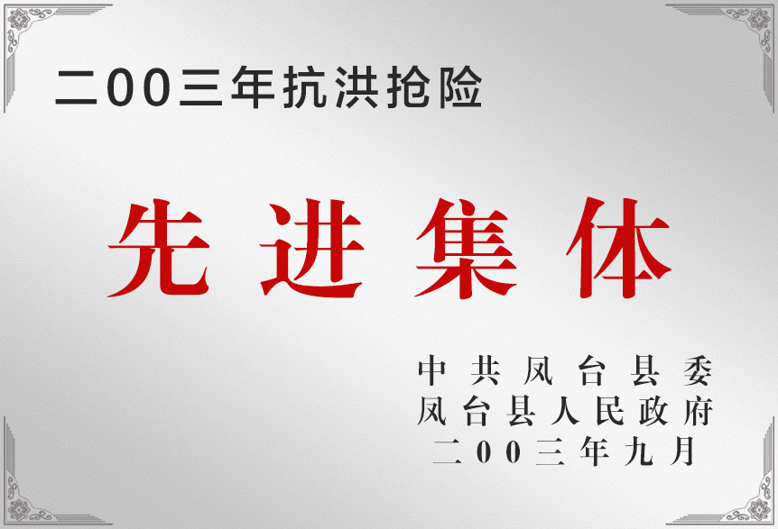 2003年搞洪搶險先進集體